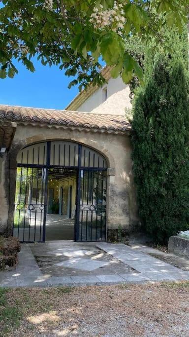 Au Mas Des Glycines - Gite La Tropezienne - 5 Personnes Camaret-sur-Aigues Εξωτερικό φωτογραφία